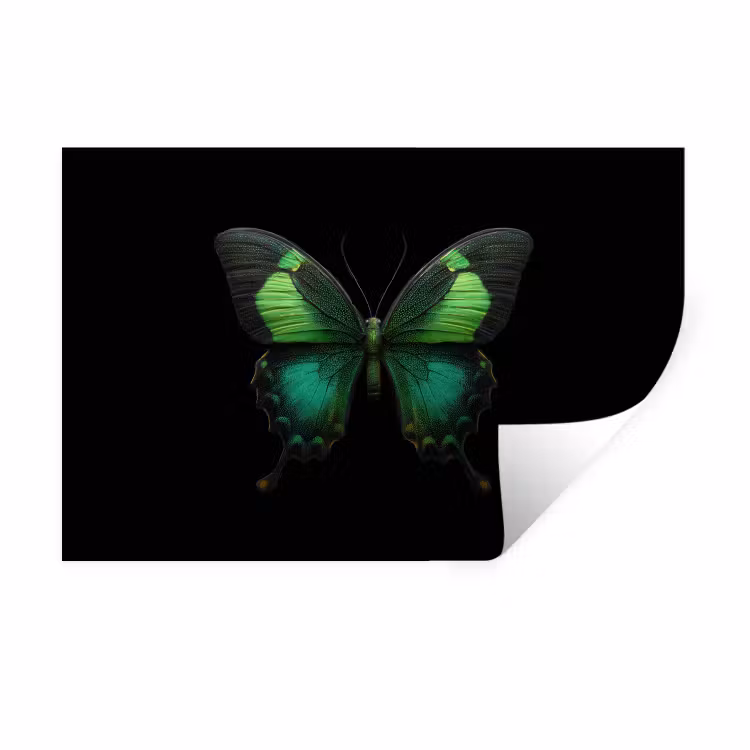Muursticker - Vlinder - Groen - Opvallend — 1