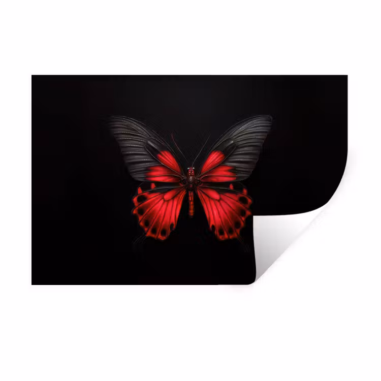 Muursticker - Vlinder - Rood - Contrast — 1