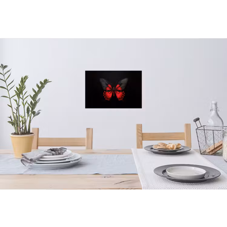 Muursticker - Vlinder - Rood - Contrast — 3