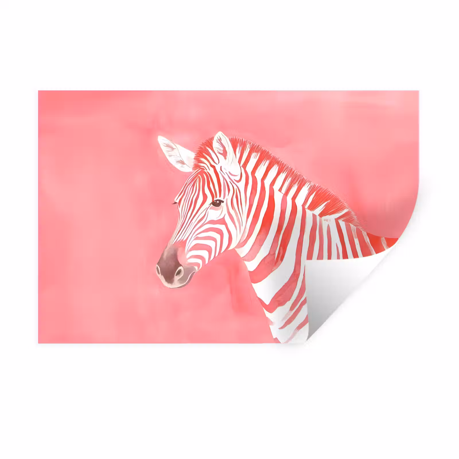 Muursticker - Zebra - Pink - Verf — 1