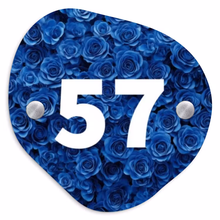 Naambordje voordeur - Huisjesvorm - Blauwe rozen - Traditioneel — 1