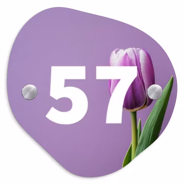 Naambordje voordeur - Huisjesvorm - Paarse tulp - Traditioneel — 1