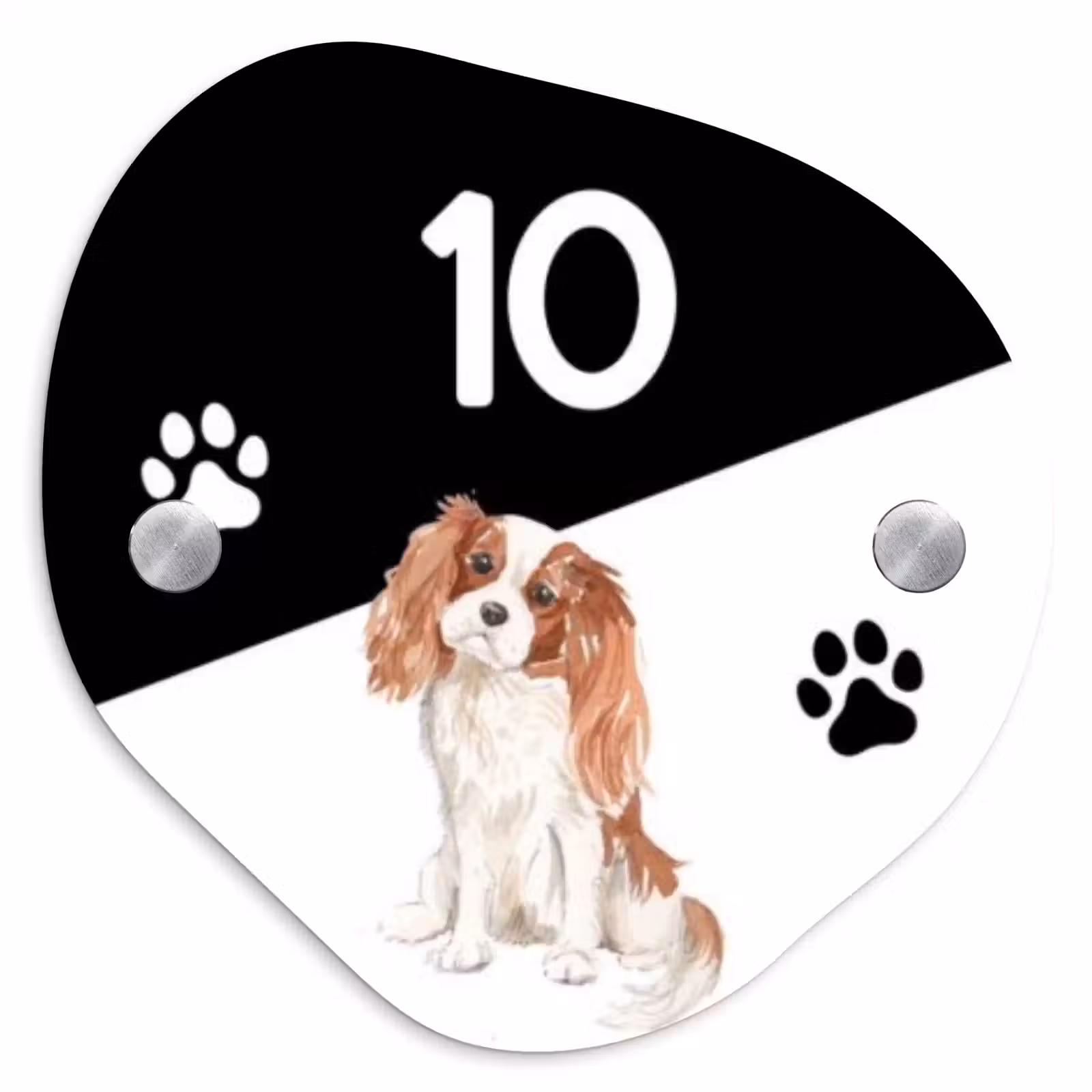 Naambordje voordeur - Huisjesvorm - Zwart wit - Huisdier - Cavalier King Charles Spaniël — 1