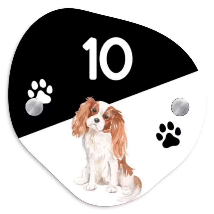 Naambordje voordeur - Huisjesvorm - Zwart wit - Huisdier - Cavalier King Charles Spaniël — 1