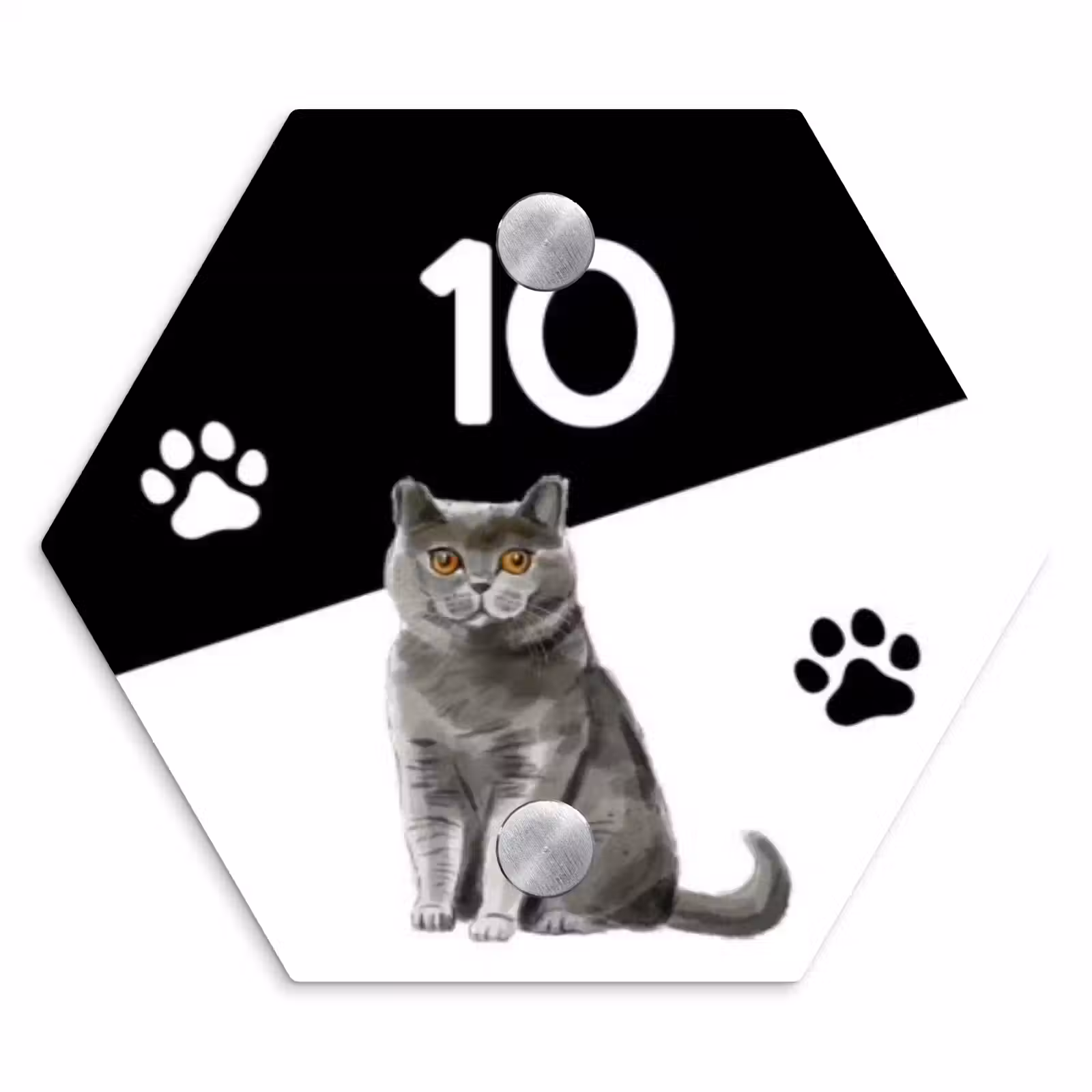 Naambordje voordeur - Hexagon - Zwart wit - Huisdier - Grijze kat — 1