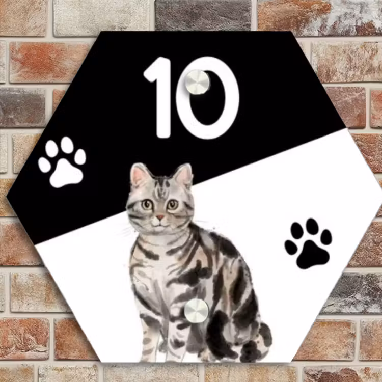 Naambordje voordeur - Hexagon - Zwart wit - Huisdier - Zilvergrijs gestreepte kat — 4