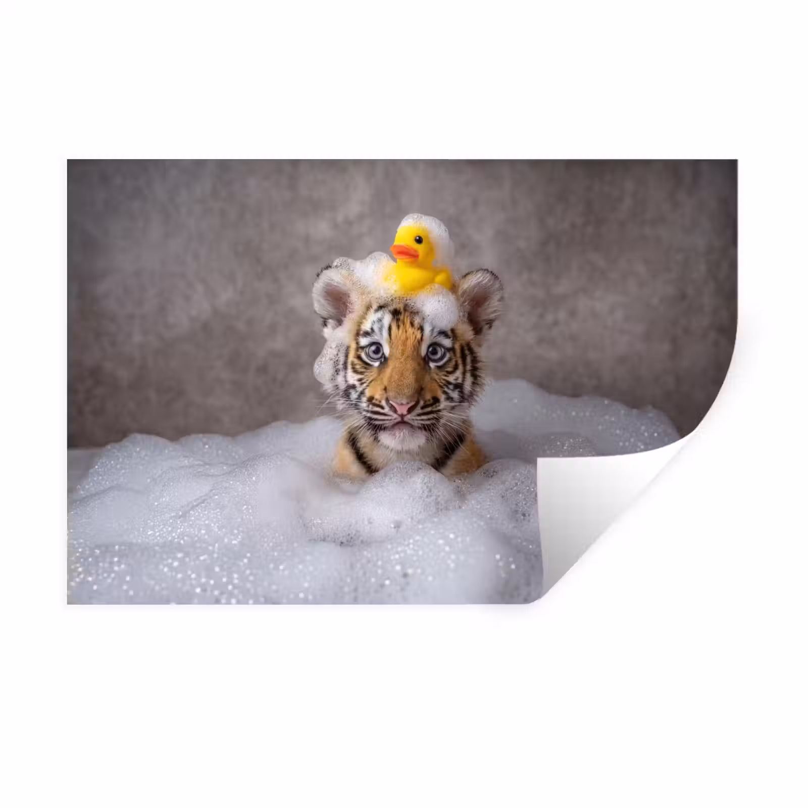 Muursticker - Welpje - Bad - Geel — 1