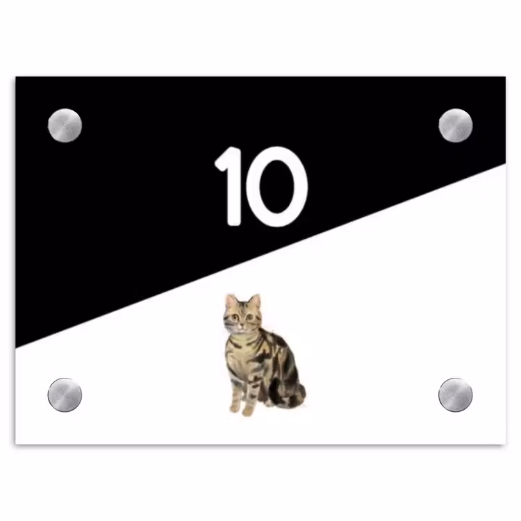 Naambordje voordeur - Rechthoek - Zwart wit - Huisdier - Bruingestreepte kat — 1