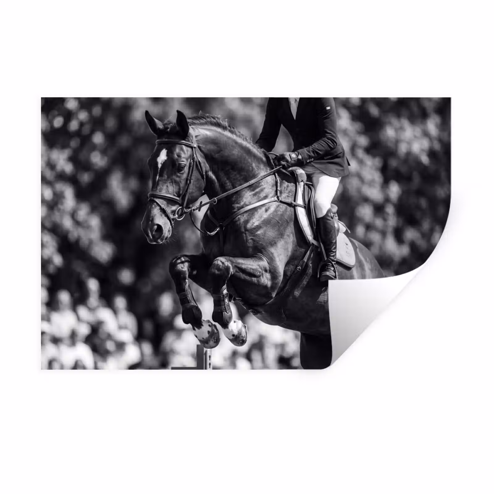 Muursticker - Springen - Paard - Zwart - Wit — 1