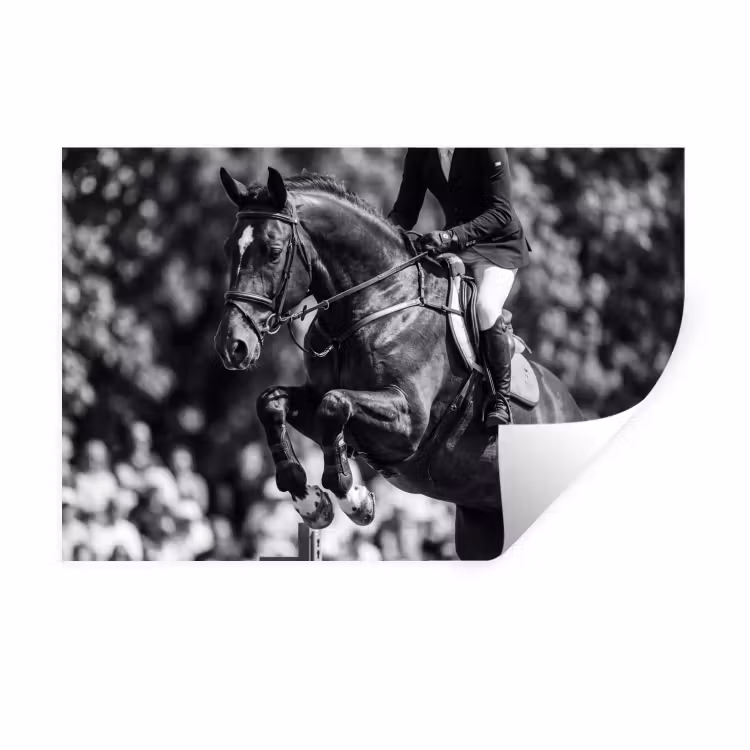 Muursticker - Springen - Paard - Zwart - Wit — 1