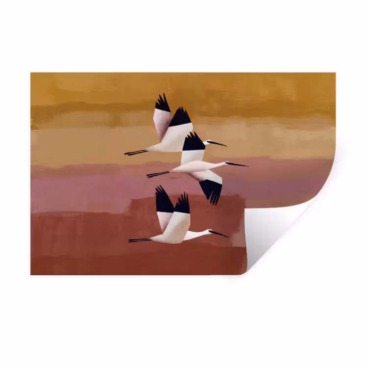 Muursticker - Vogels - Snavel - Abstract — 1