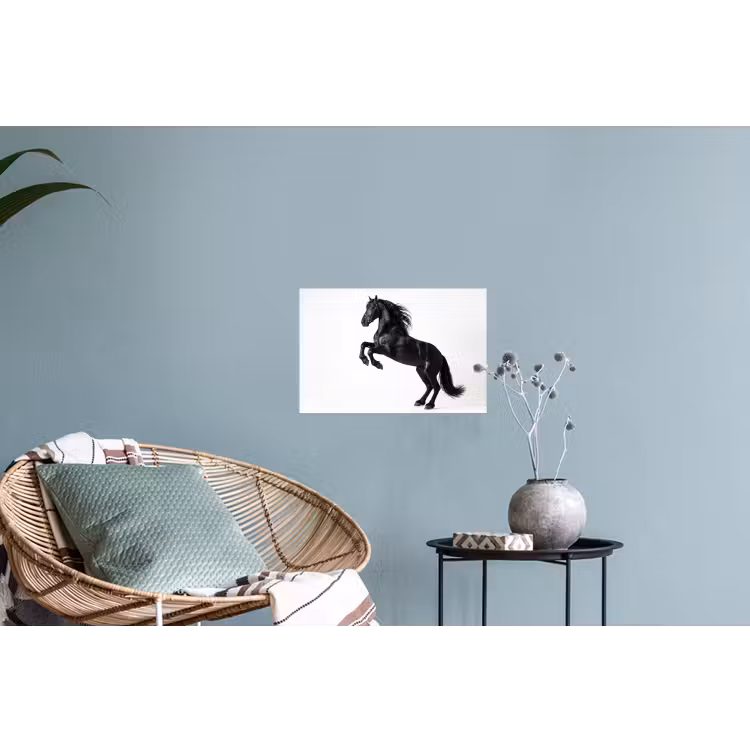 Muursticker - Zwart - Paard - Portret — 4