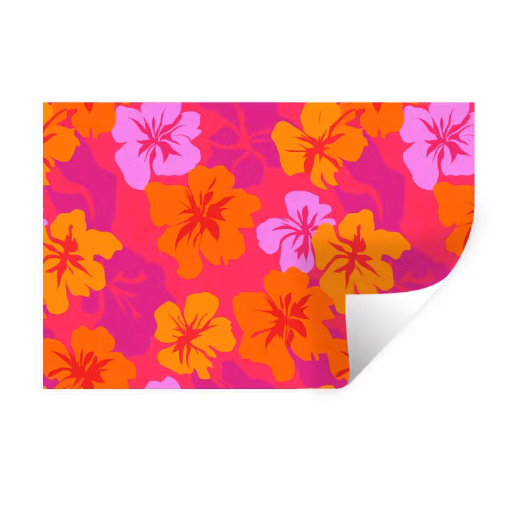 Muursticker - Zomers - Hibiscus - Kleurrijk — 1