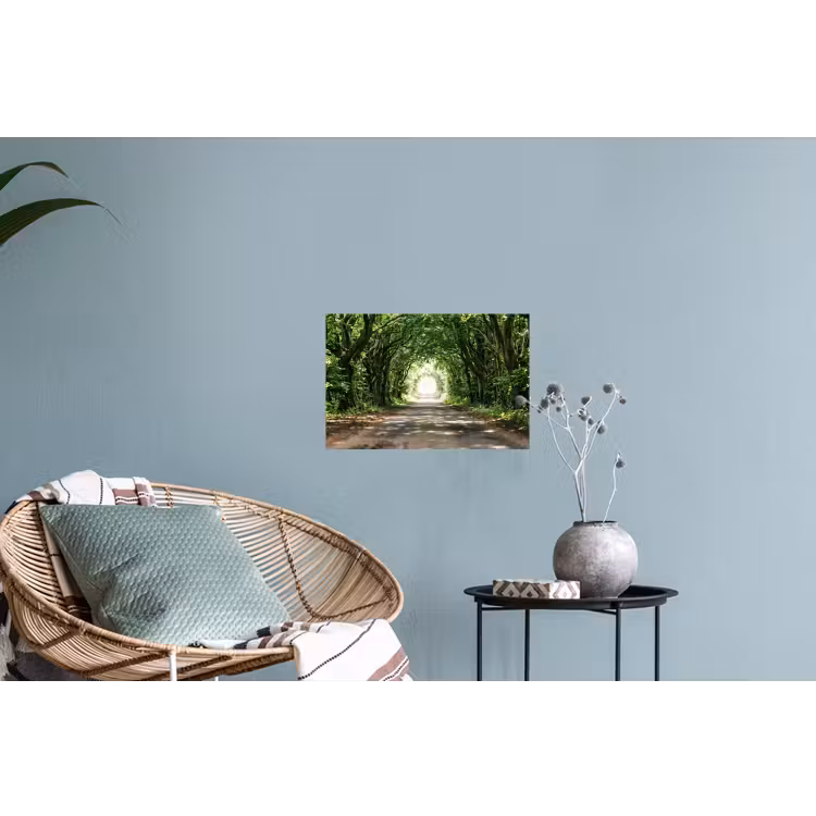 Muursticker - Weg - Bomen - Natuur - Groen — 4