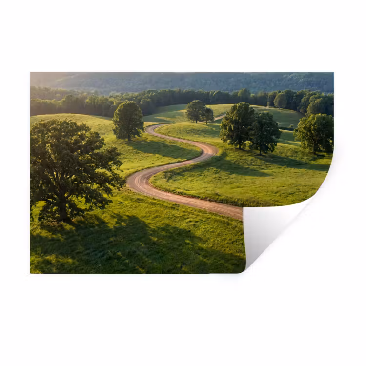Muursticker - Weg - Weide - Natuur - Groen — 1