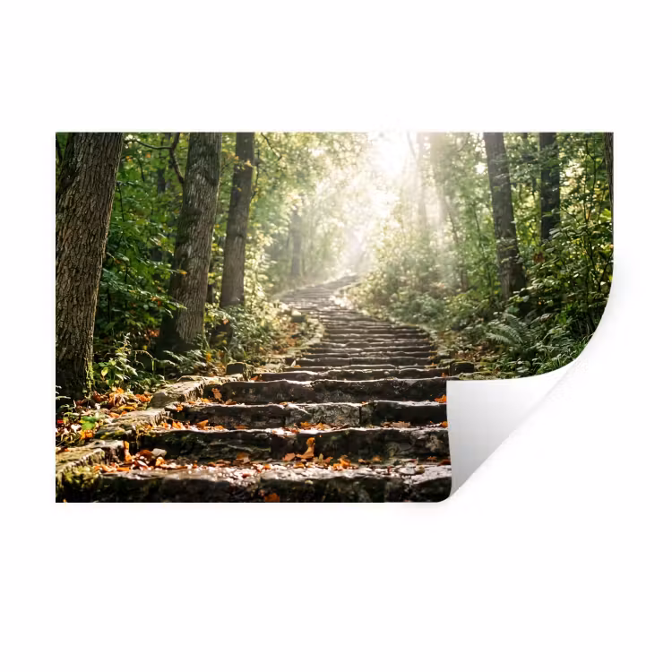 Muursticker - Stenen - Trap - Bos - Natuur — 1