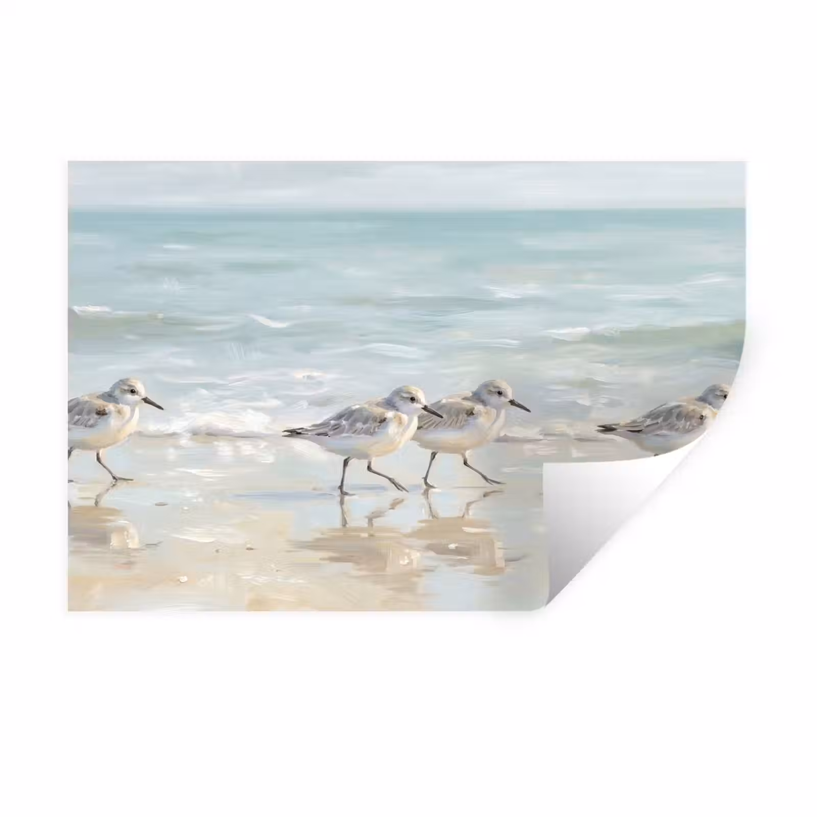 Muursticker - Vogels - Strand - Zee — 1