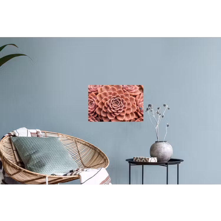 Muursticker - Vetplant - Organisch - Roze — 4
