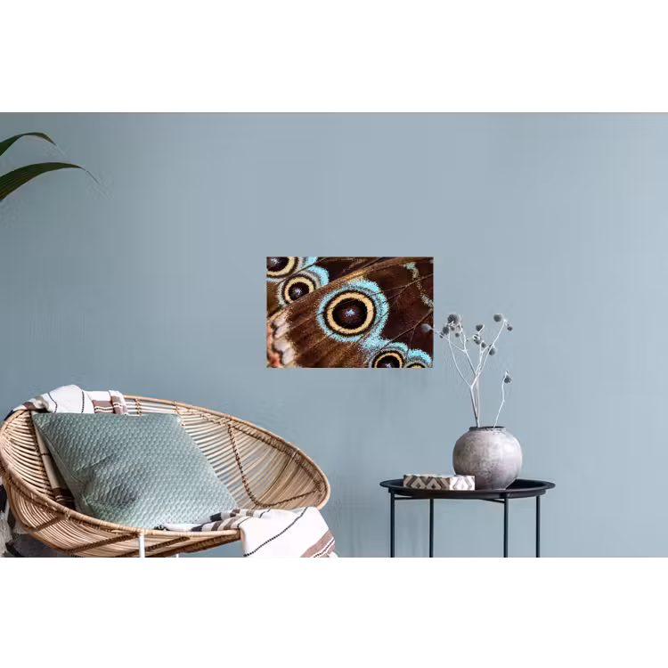 Muursticker - Vleugels - Vlinder - Blauw — 4