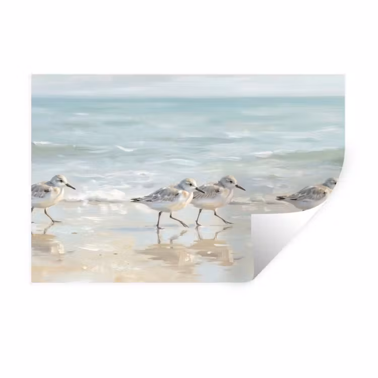 Muursticker - Vogels - Strand - Zee — 1
