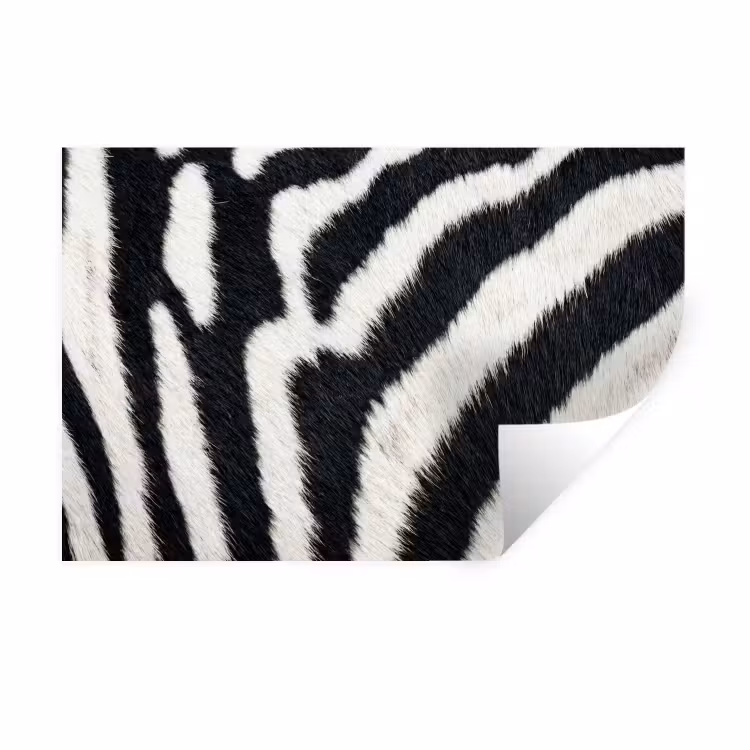 Muursticker - Zebra - Vacht - Klassiek - Zwart - Wit — 1