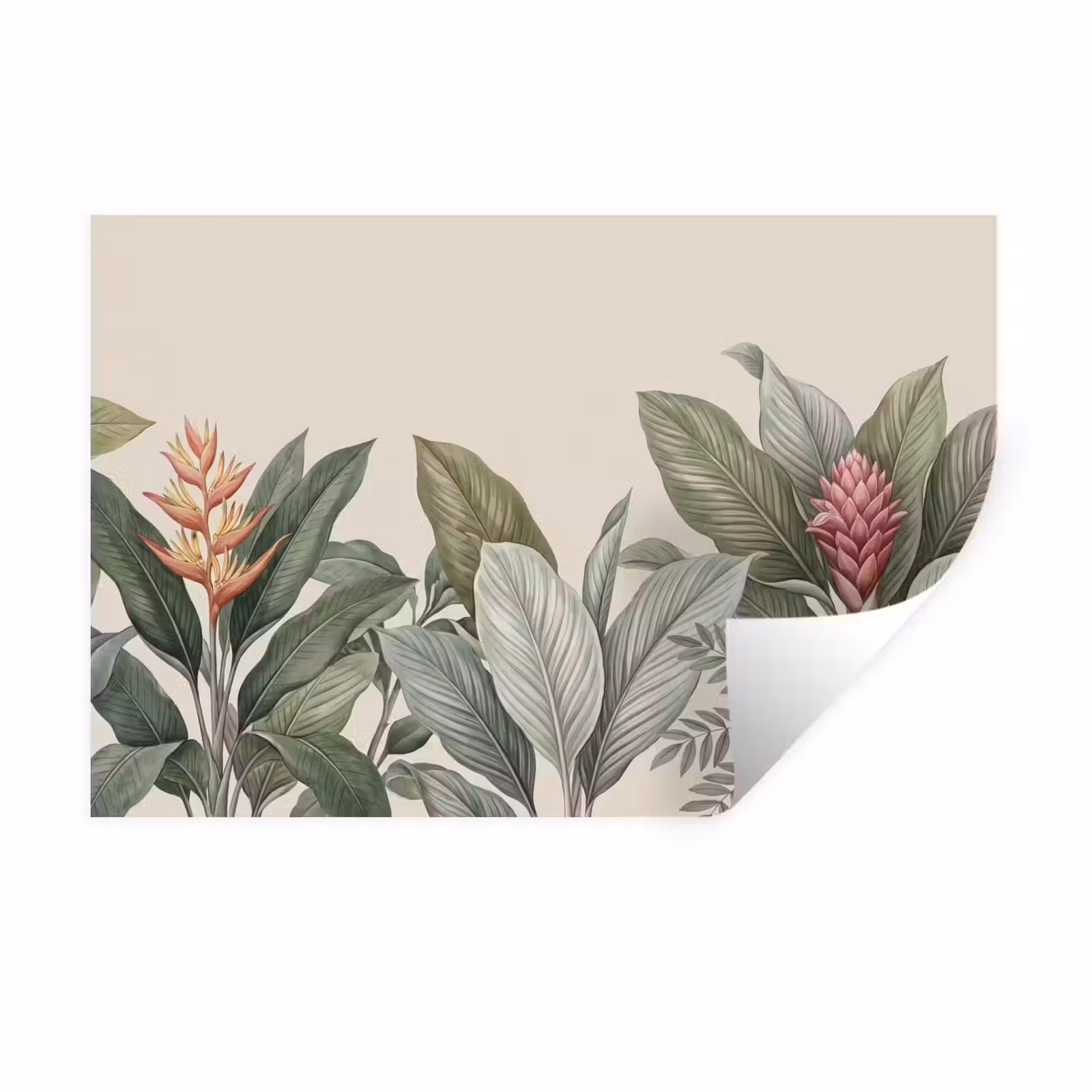 Muursticker - Tropisch - Planten - Modern - Groen — 1