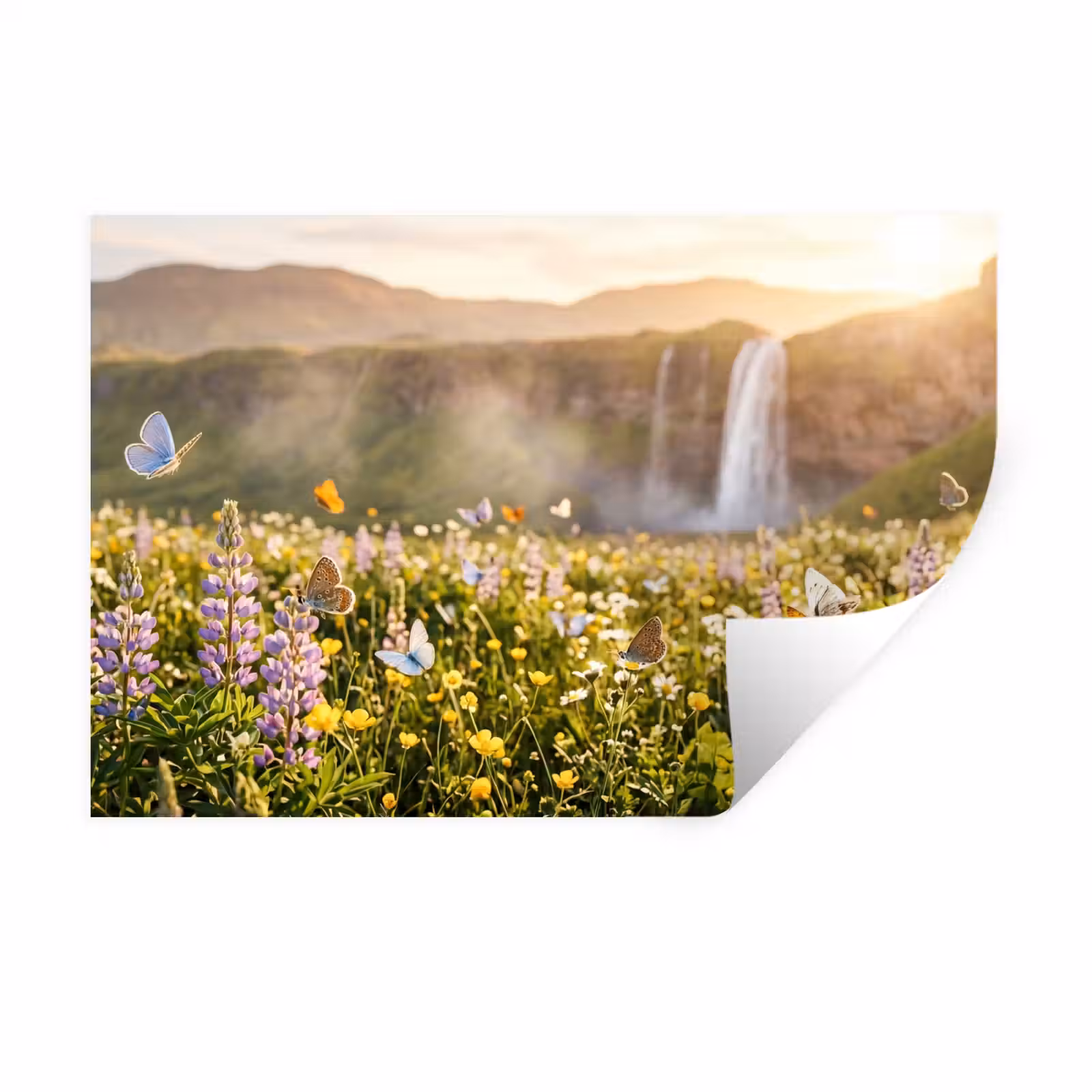 Muursticker - Vlinders - Waterval - Bloemenveld — 1