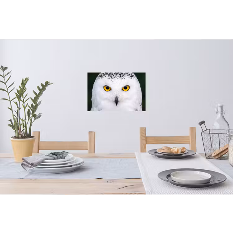 Muursticker - Sneeuwuil - Portret - Geel — 3