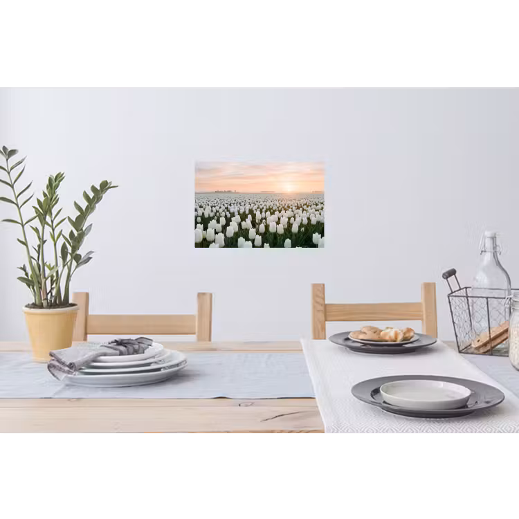 Muursticker - Tulpen - Landschap - Wit — 3