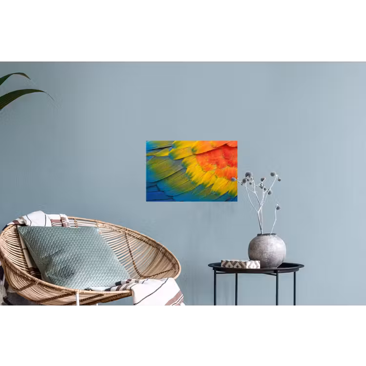 Muursticker - Veren - Ara - Kleurrijk — 4