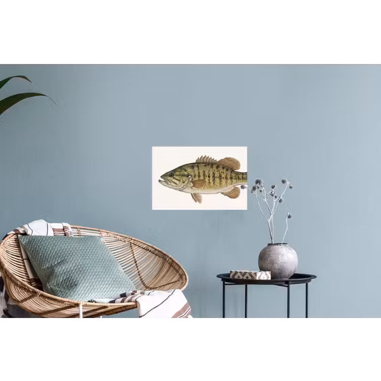 Muursticker - Vissen - Natuur - Vintage — 4