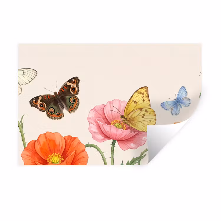 Muursticker - Vlinders - Klaprozen - Illustratie - Kleurrijk — 1