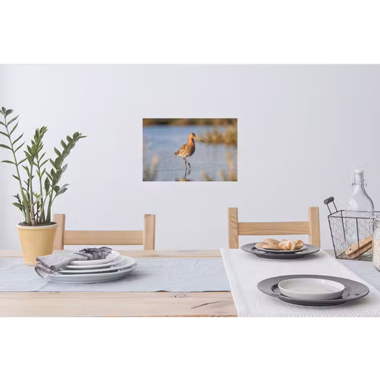 Muursticker - Vogel - Steltloper - Water - Natuur — 3