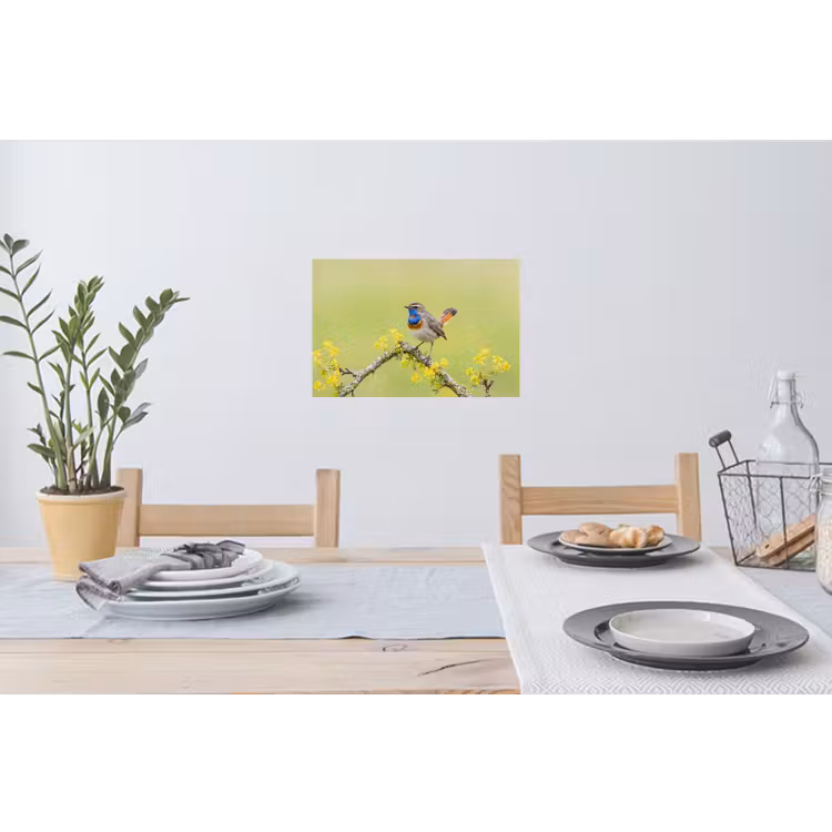 Muursticker - Vogel - Tak - Natuur - Kleurrijk — 3