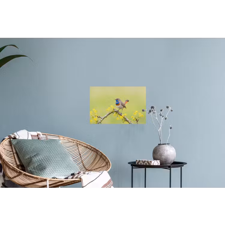 Muursticker - Vogel - Tak - Natuur - Kleurrijk — 4