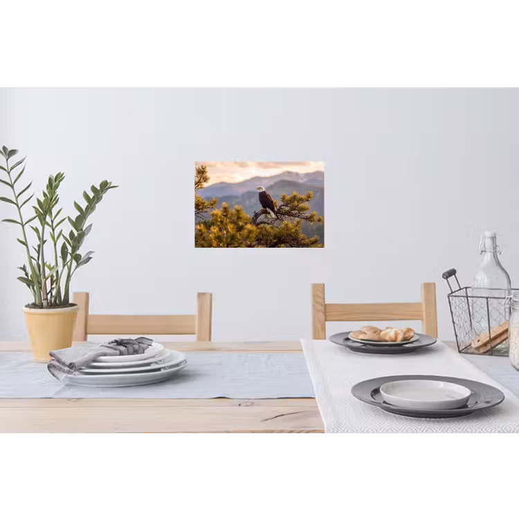 Muursticker - Zeearend - Boom - Bergen - Groen — 3