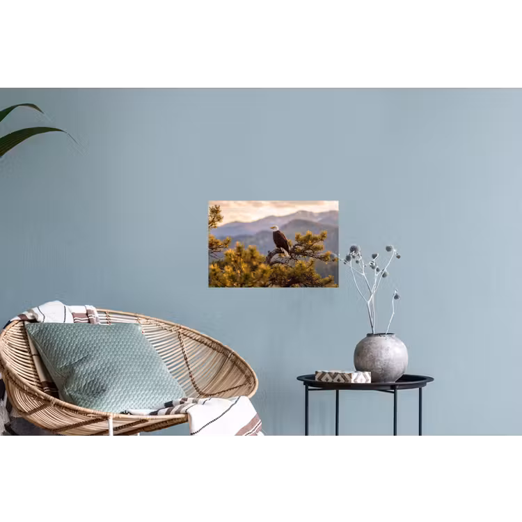 Muursticker - Zeearend - Boom - Bergen - Groen — 4