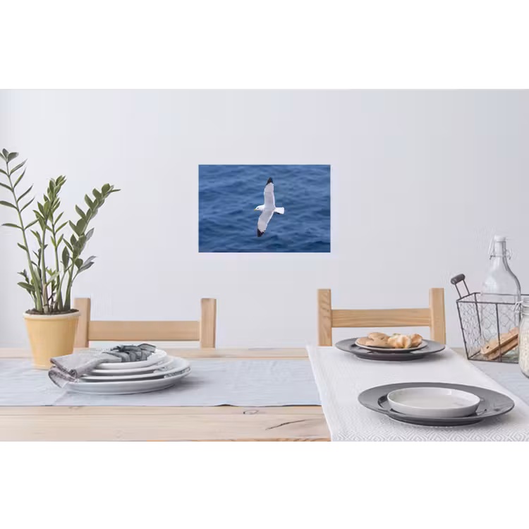Muursticker - Zeemeeuw - Oceaan - Blauw — 3
