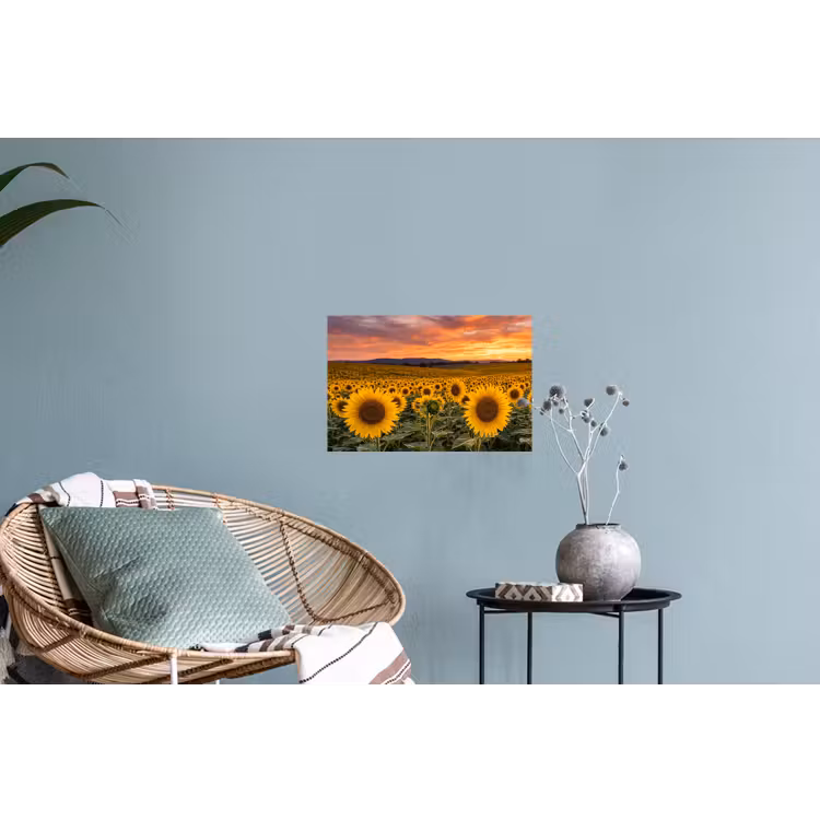 Muursticker - Zonnebloemen - Heuvellandschap - Geel — 4