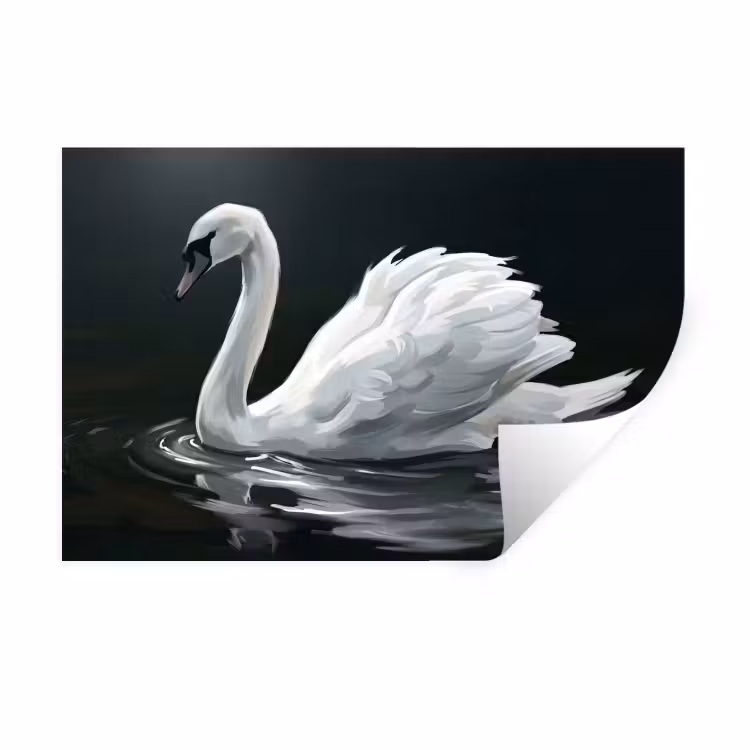 Muursticker - Zwaan - Water - Natuur - Realistisch - Wit — 1