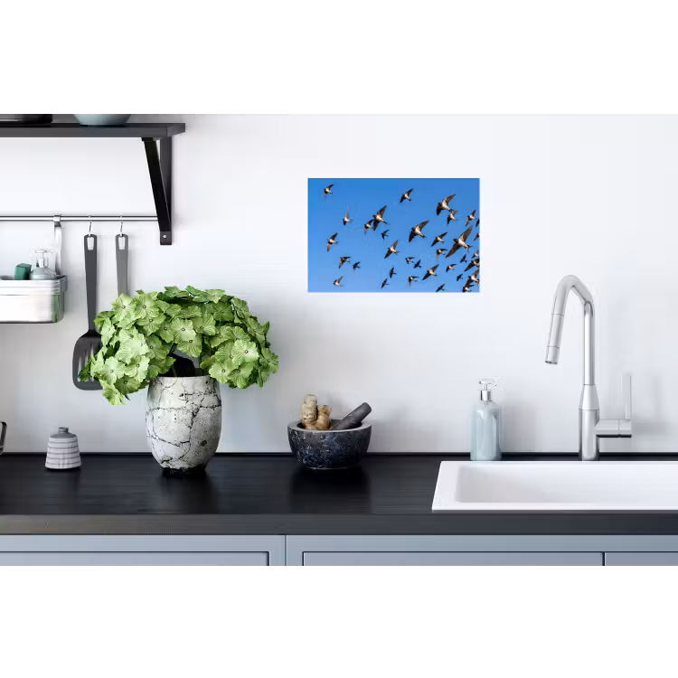 Muursticker - Zwaluwen - Vliegen - Blauw — 2