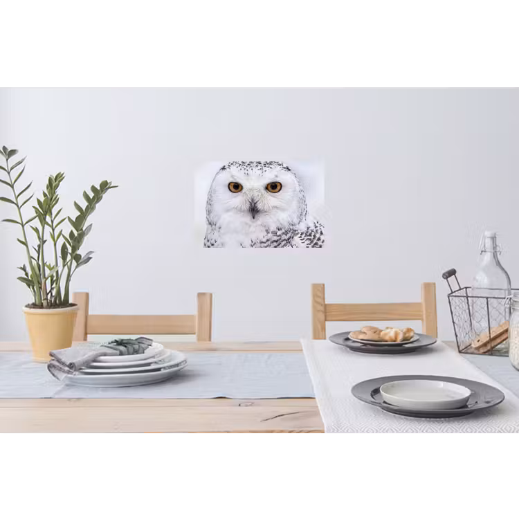 Muursticker - Sneeuwuil - Oog - Wildlife - Wit — 3