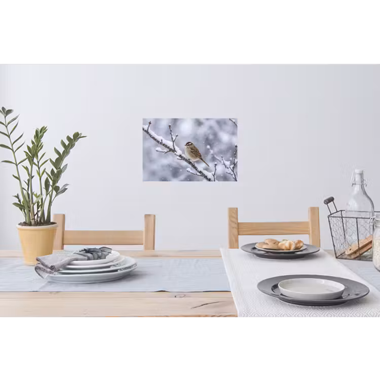 Muursticker - Vogel - Tak - Sneeuw - Winter — 3