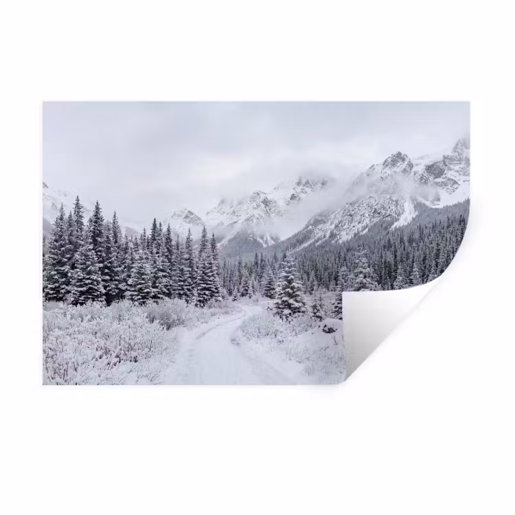 Muursticker - Weg - Bergen - Sneeuw - Naaldbos - Avontuurlijk — 1