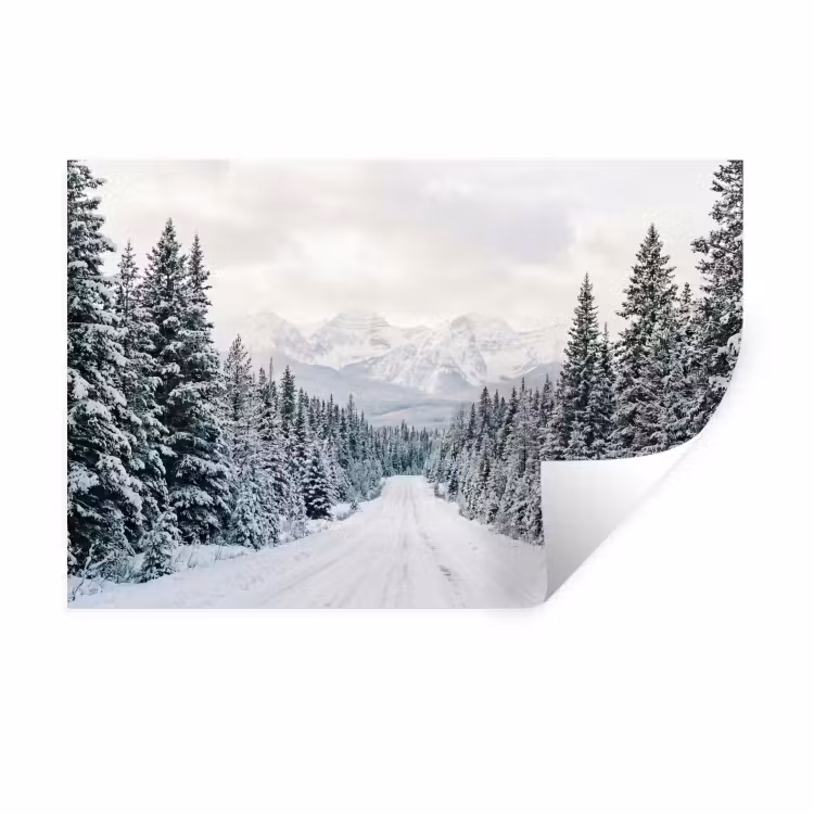 Muursticker - Weg - Sneeuw - Naaldbos - Winter - Avontuurlijk — 1