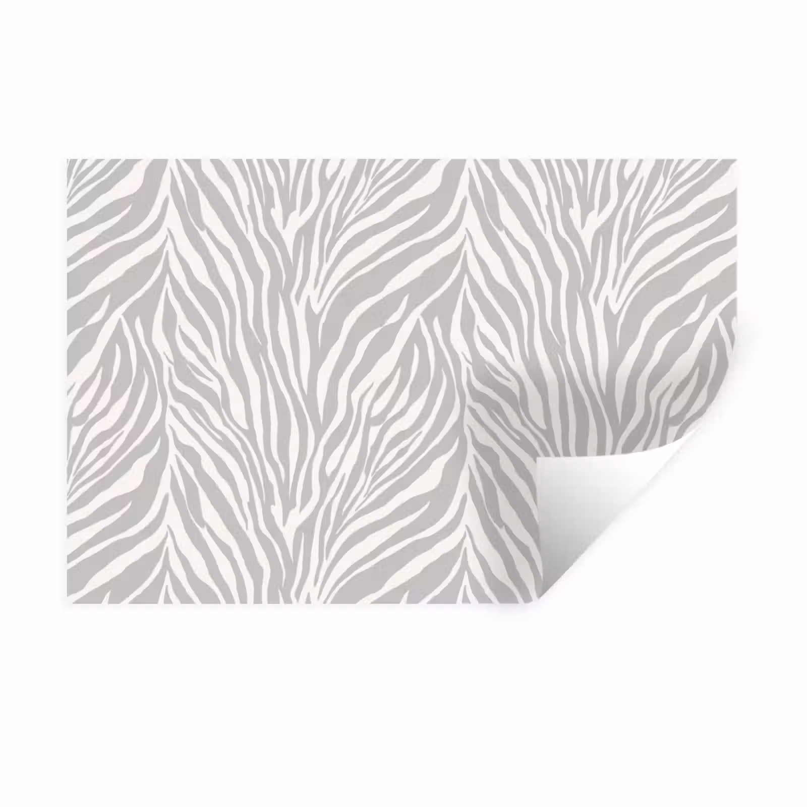 Muursticker - Zebra - Motief - Grijs — 1