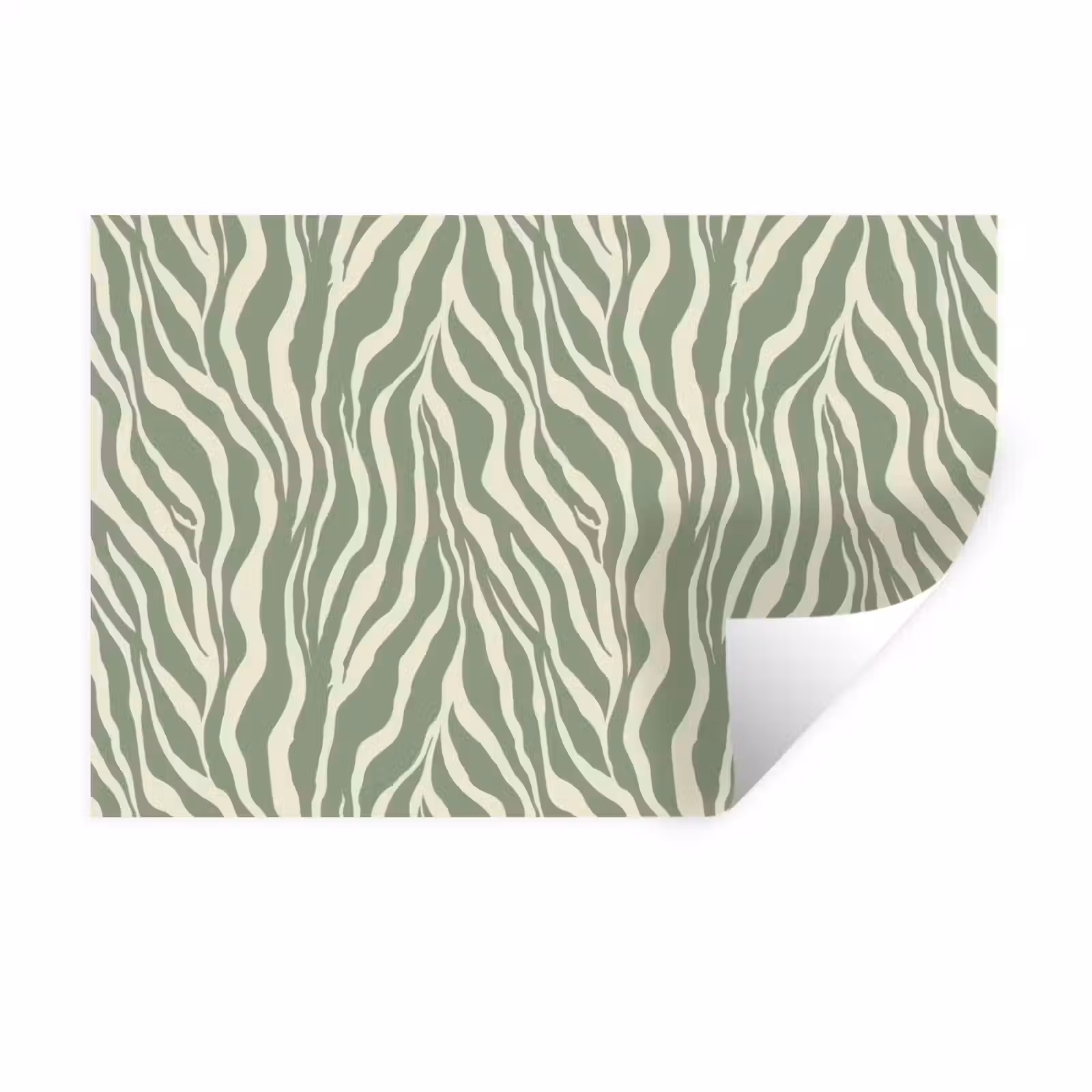 Muursticker - Zebra - Motief - Groen — 1