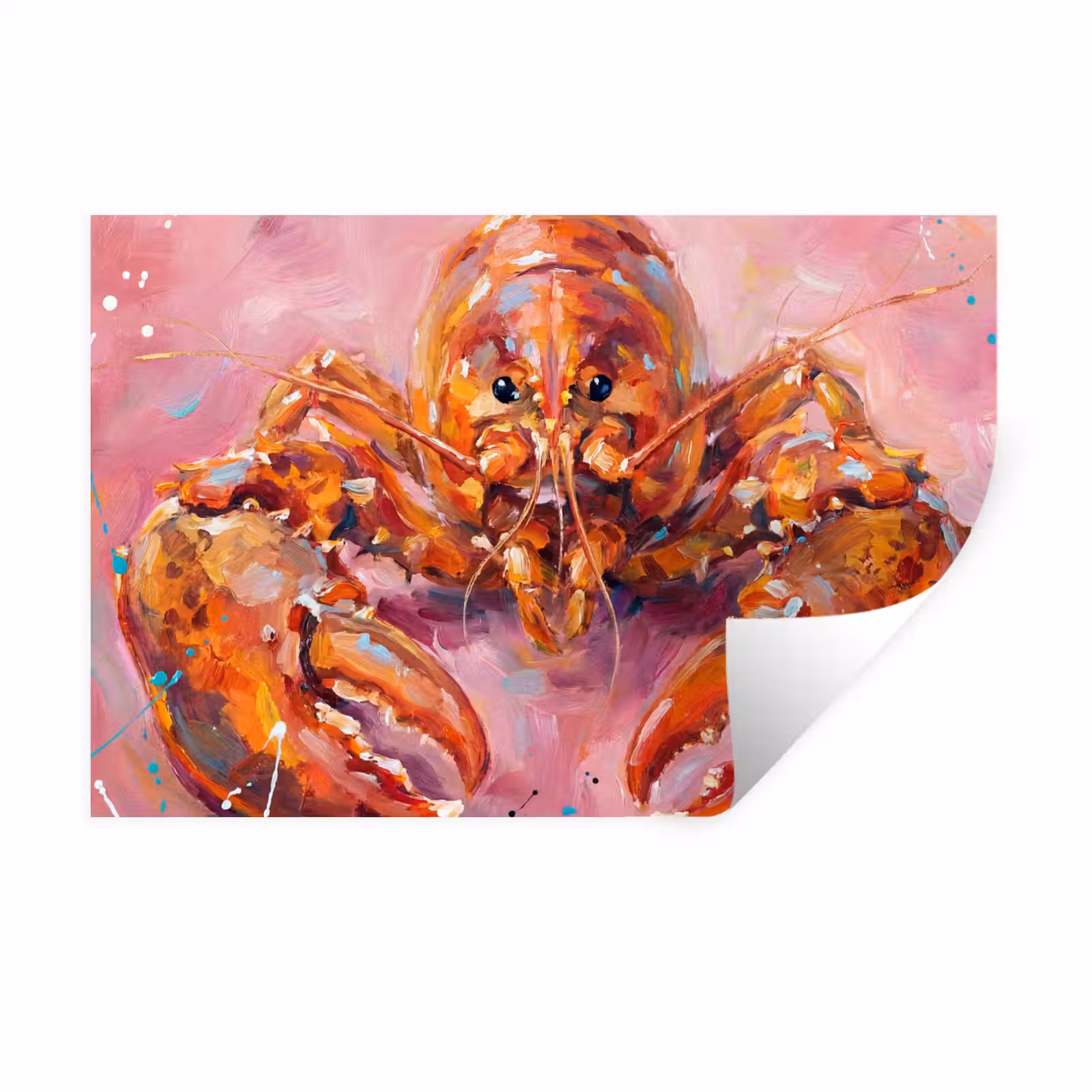 Muursticker - Zeeleven - Kreeft - Spatters - Abstract - Roze — 1