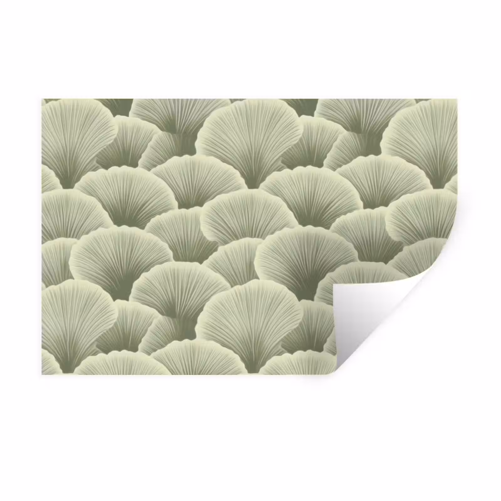 Muursticker - Waaier - Blad - Groen — 1