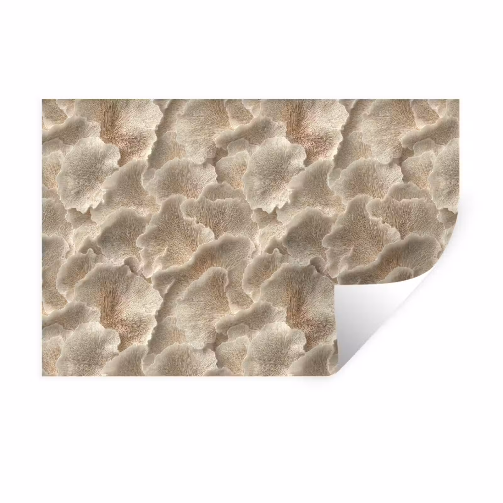 Muursticker - Waaierstructuren - Beige - Vezeltextuur — 1
